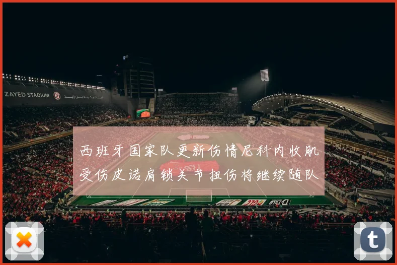 西班牙国家队更新伤情尼科内收肌受伤皮诺肩锁关节扭伤将继续随队训练