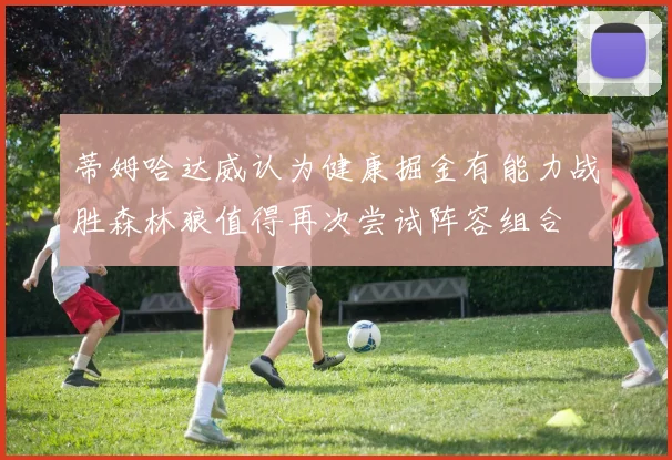 蒂姆哈达威认为健康掘金有能力战胜森林狼值得再次尝试阵容组合