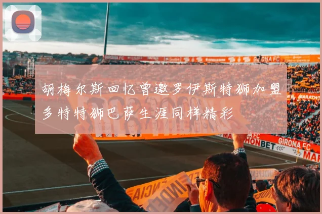 胡梅尔斯回忆曾邀罗伊斯特狮加盟多特特狮巴萨生涯同样精彩