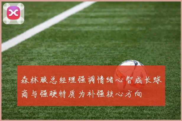 森林狼总经理强调情绪心智成长球商与强硬特质为补强核心方向