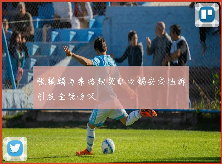 张镇麟与弗格默契配合锡安式挡拆引发全场惊叹