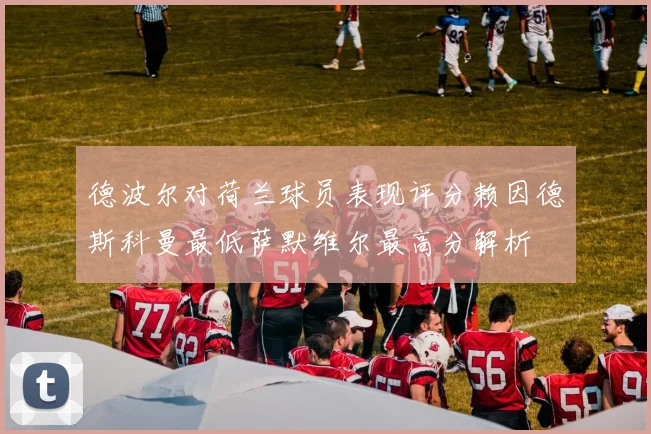 德波尔对荷兰球员表现评分赖因德斯科曼最低萨默维尔最高分解析