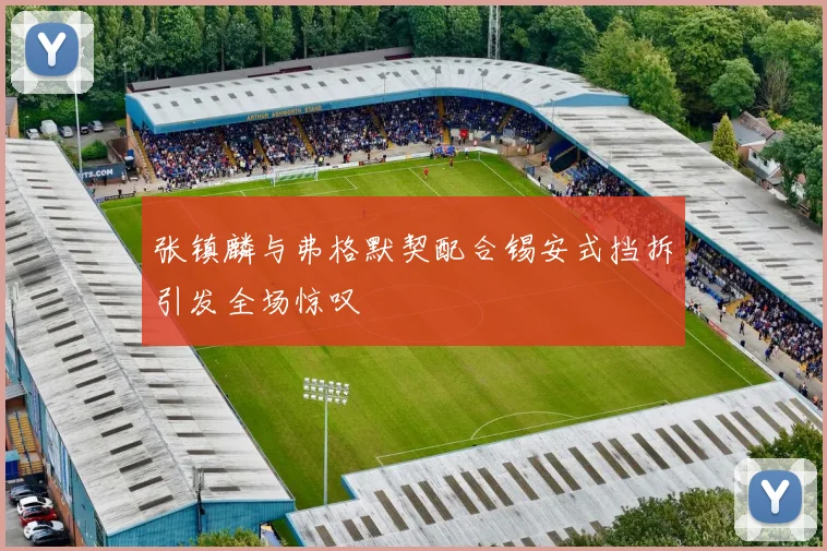 张镇麟与弗格默契配合锡安式挡拆引发全场惊叹